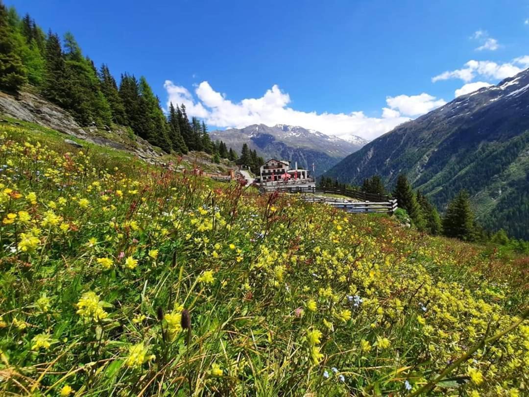 Hotel Alpengasthof Gaislach Alm Sölden Exteriér fotografie